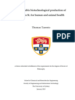 (TESIS) Sustainable Biotechnological Production of Vitamin K1 For Human and Animal Health