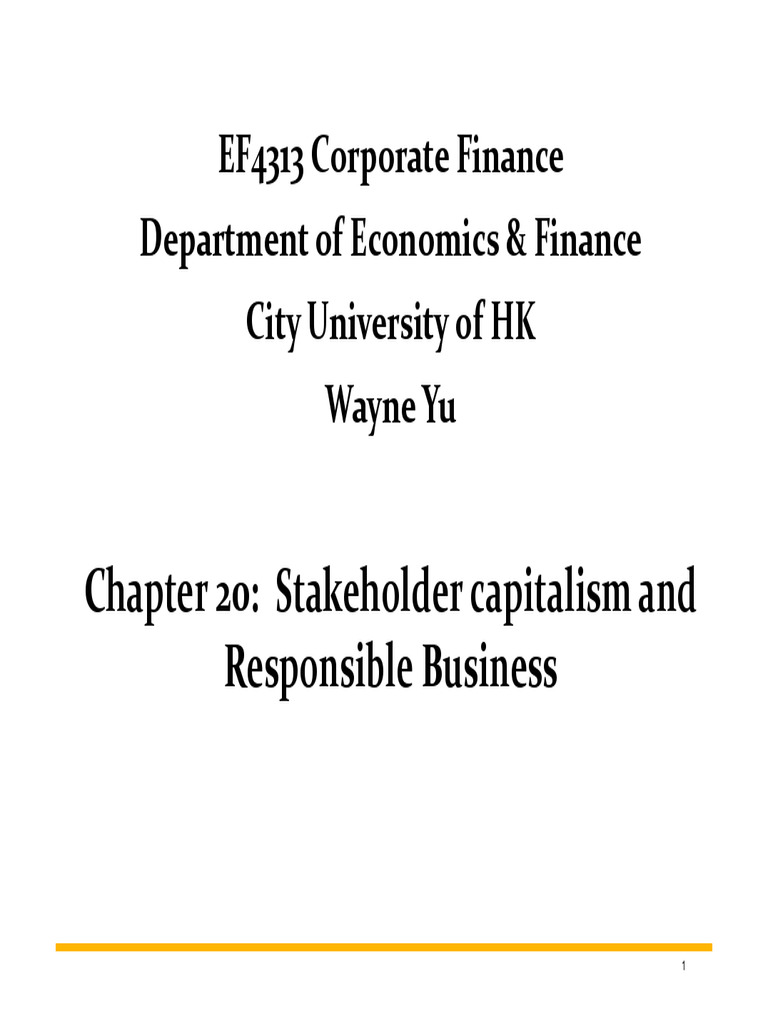 Chapter 20 Lecture Notes | Download Free PDF | Shareholder Value ...