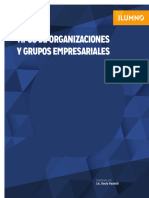 Tipos de Organizaciones y Grupos Empresariales