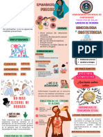 Tríptico Informativo Del Día Mundial de La Educación Ambiental Ilustrado Verde