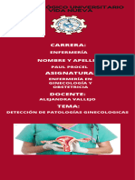 Infografía Patologías Ginecologicas 
