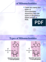 Lesson - 12 - Types of Ribonucleotides