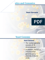 Lesson - 24 - Yeast Genome