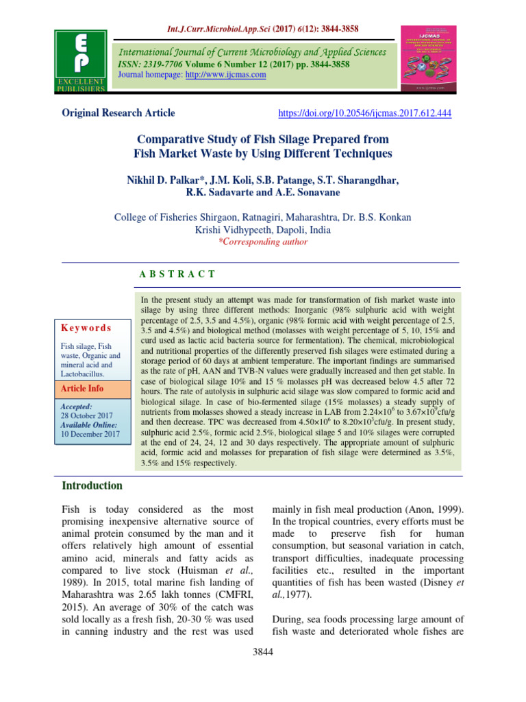 Fish Silage Techniques from Market Waste | PDF | Decomposition | Chemistry