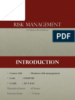 C1 Introduction of Risks and Business Risks