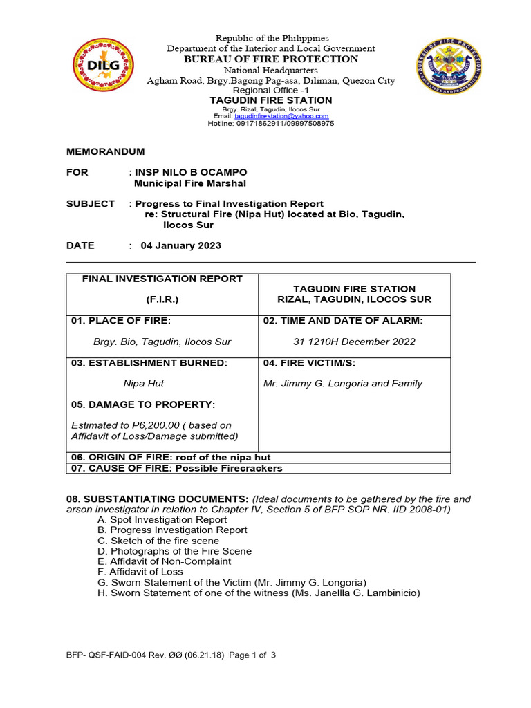 Progress To Final Investigation Report | PDF
