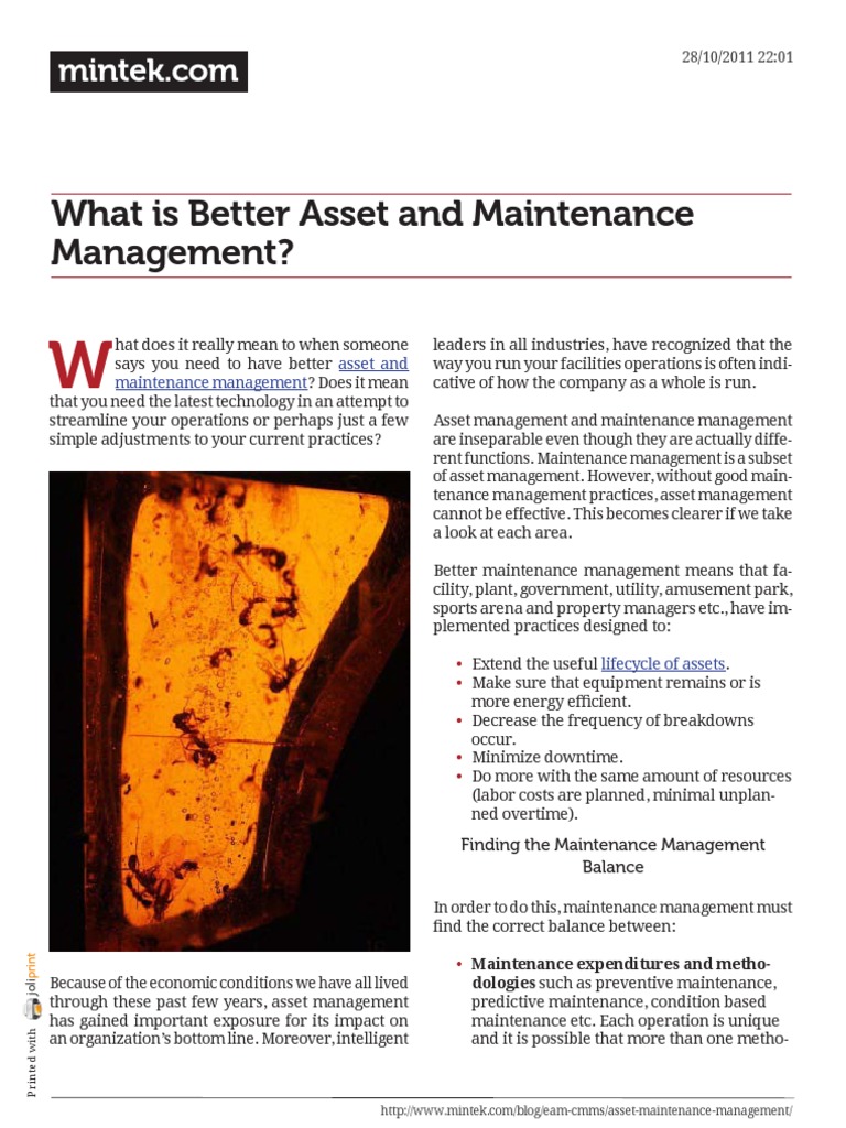 Understanding Asset and Maintenance Management | PDF | Asset Management ...