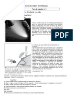 Ficha de Trabalho No 1-7oano