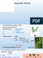 Harasztok Törzse Másolata