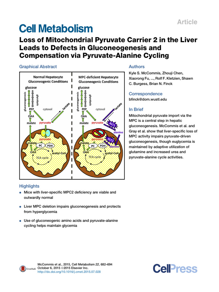 Loss of Mitochondrial Pyruvate Carrier 2 in The Liver Leads To Defects ...
