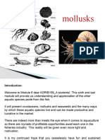 Mollusks