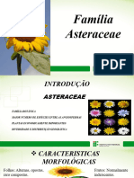Asteraceae