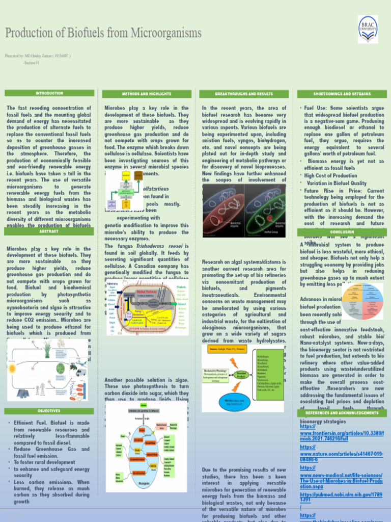 Poster - Production of Biofuels (Square) | PDF