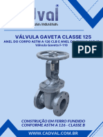 Vg-F-110shy - VALVULA GAVETA CLASSE 125