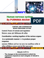 Human Nervous System: by Purnima Ma'Am