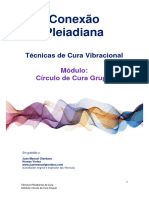 Apostila Circulo de Cura Grupal - Tecnicas Pleidianas