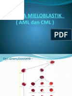 Lekemia Mieloblastik