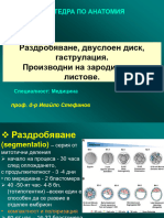 L 26 27 Drobene Dvusl Disk Gastrulatsia