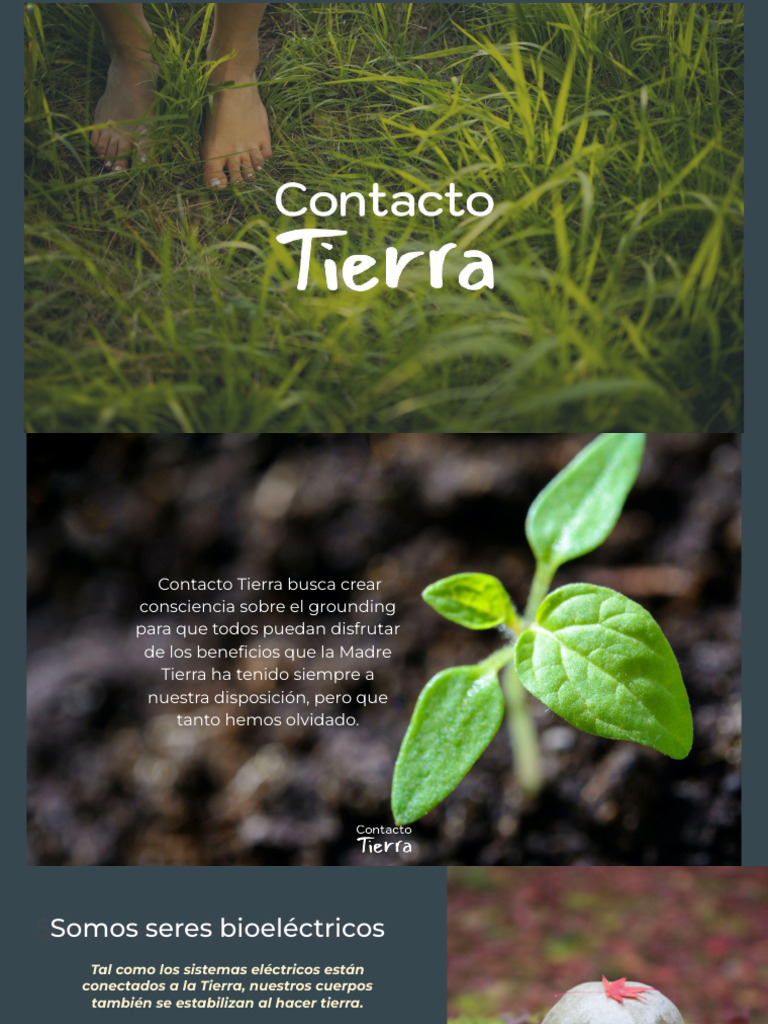 grounding-pdf-especialidades-medicas-ciencias-de-la-salud