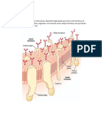 FARMACOLOGIA