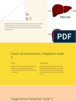 Introducere in Hepatita Virala C