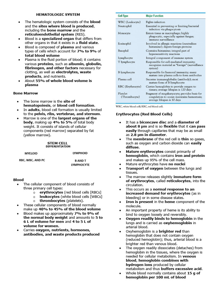 Hematologic System | PDF | White Blood Cell | Lymphocyte