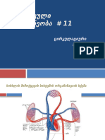 პრაქტიკული 11 ცირკულაციური სისტემა