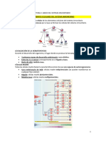 Tema 2. Bases Del Sistema Inmunitario