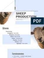 VEM-12 Sheep Production