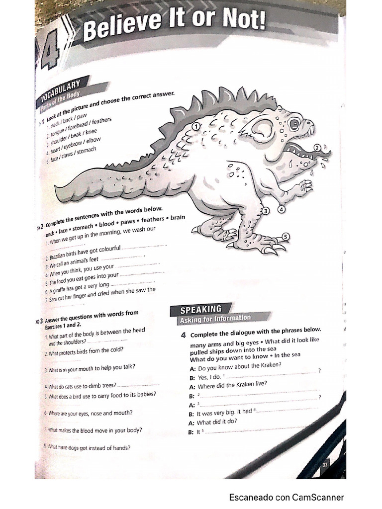 Unit 4 Activity Book | PDF