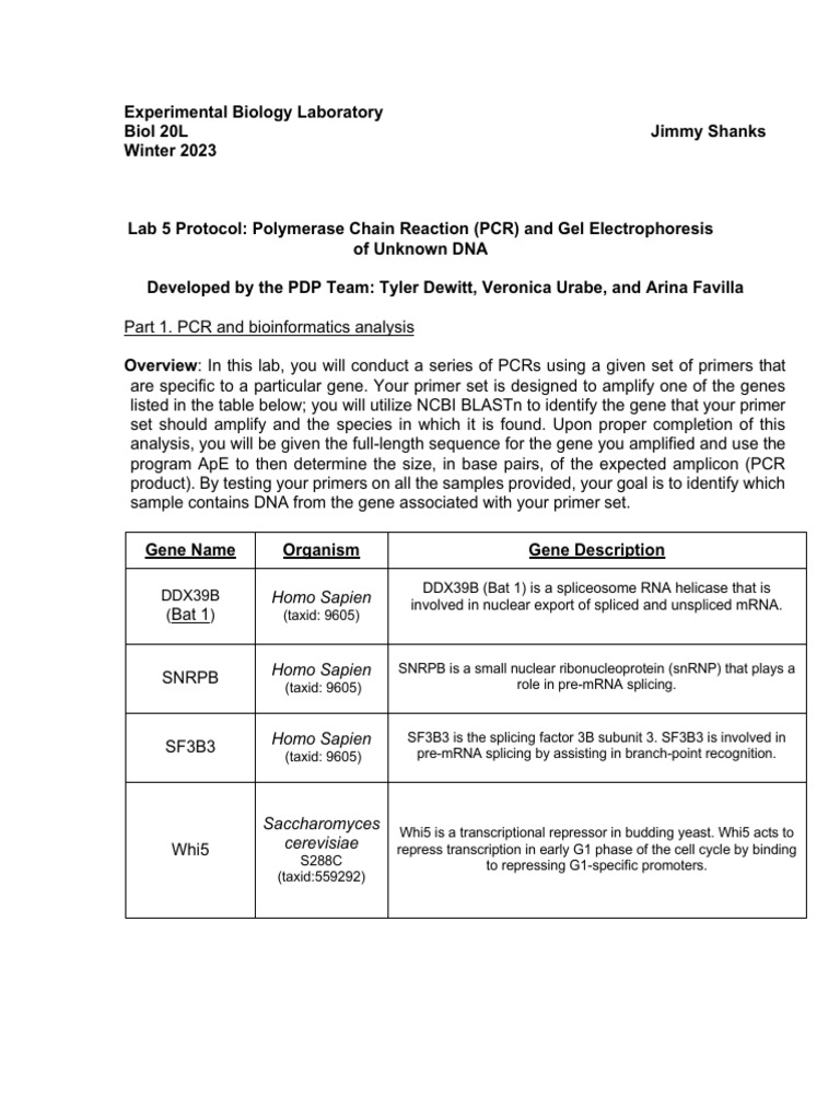 Lab Protocol 5 | Download Free PDF | Polymerase Chain Reaction | Rna ...