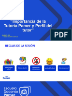 Importancia de La Tutoría Pamer y Perfil Del Tutor