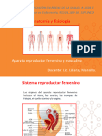 Anatomia - Sistema Reproductor - 2023