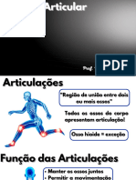 ARTICULAR