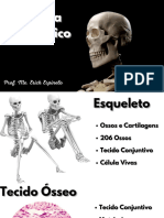 Anatomia Humana - Sistema Esquelético