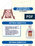 Introducción Al Sistema Digestivo