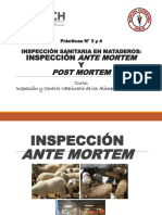 Práctica N°3 y 4 INSPECCIÓN SANITARIA EN MATADEROS