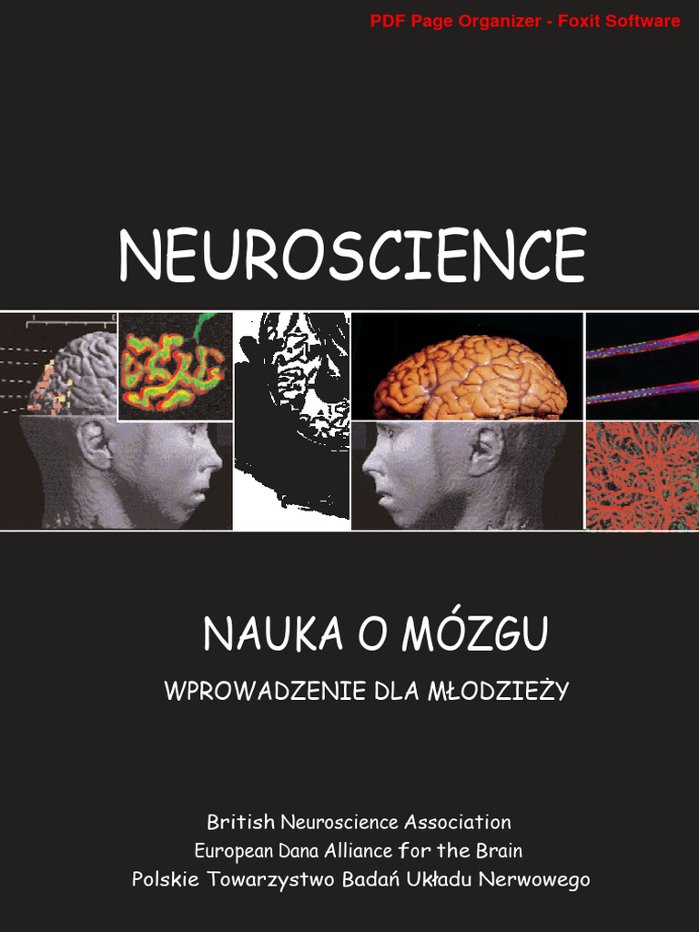 Broszura Neurobiol | PDF