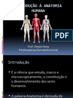 Introdução A Anatomia