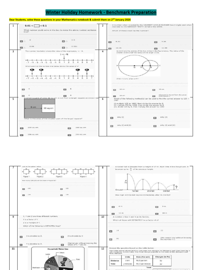 Winter Holiday Math Homework Guide | PDF