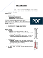 Ud.3 Sistema Ossi