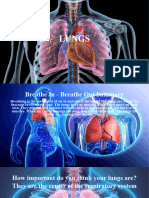 Lungs