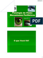 Fisiologia Da Visao - Mecanismos Perifericos RT