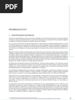2ª Comunicación Resumen Ejecutivo
