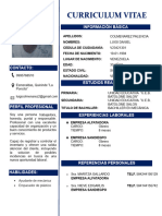 Curriculum Vitae