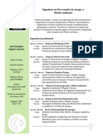 Ingeniero en Prevención de Riesgos y Medio Ambiente: Experiencia Profesional