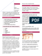 Exame Periodontal