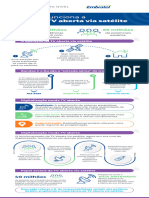 Infografico Satelites Final-1.pdf-1