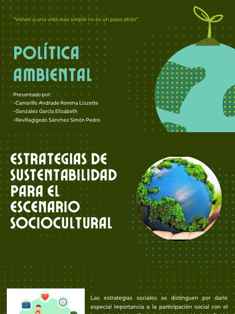 Estrategias de Política Ambiental Sostenible | PDF | Sustentabilidad ...