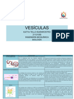 VESÍCULAS